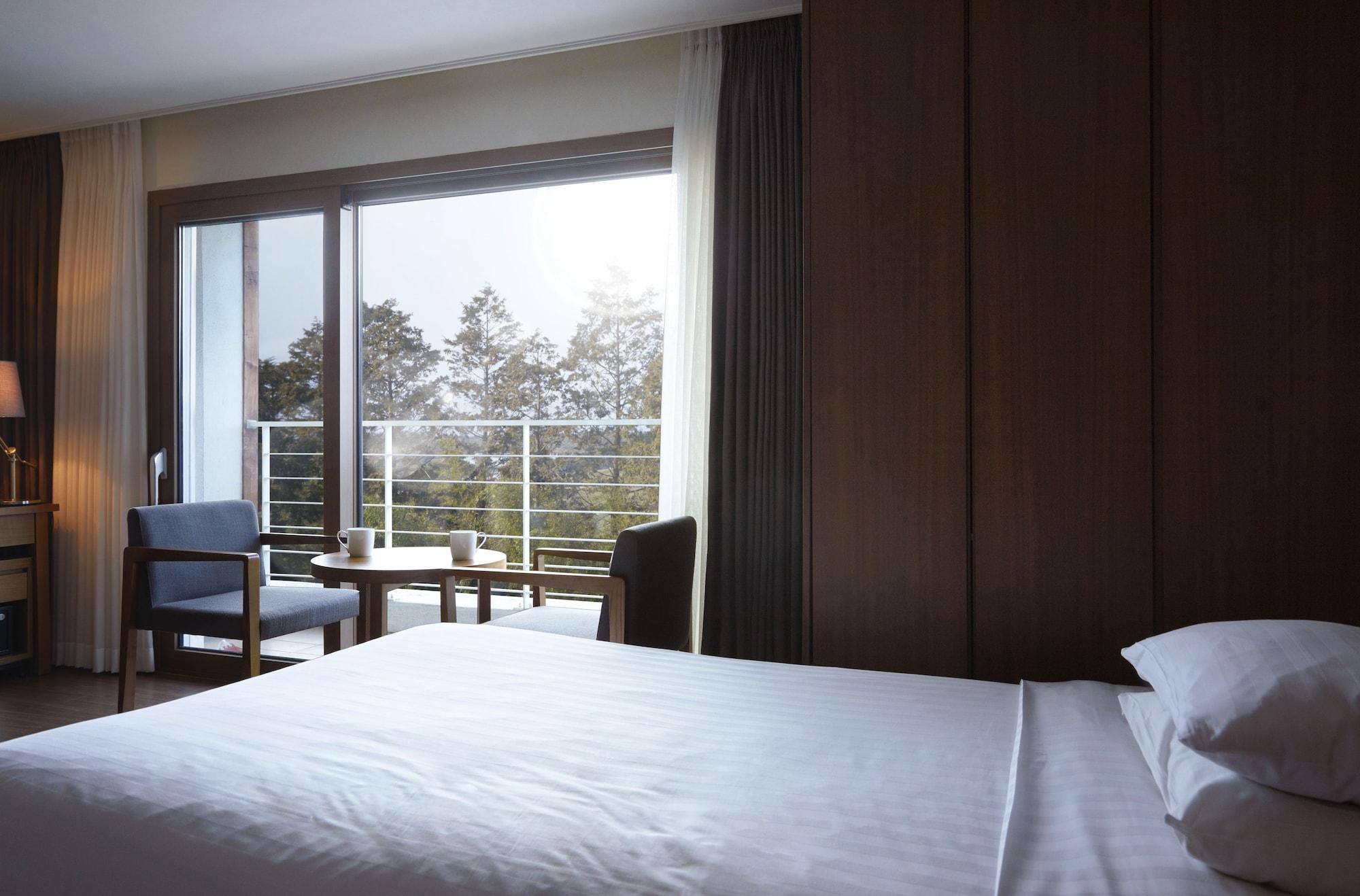 סאוגוויפו Jeju Aerospace Hotel מראה חיצוני תמונה