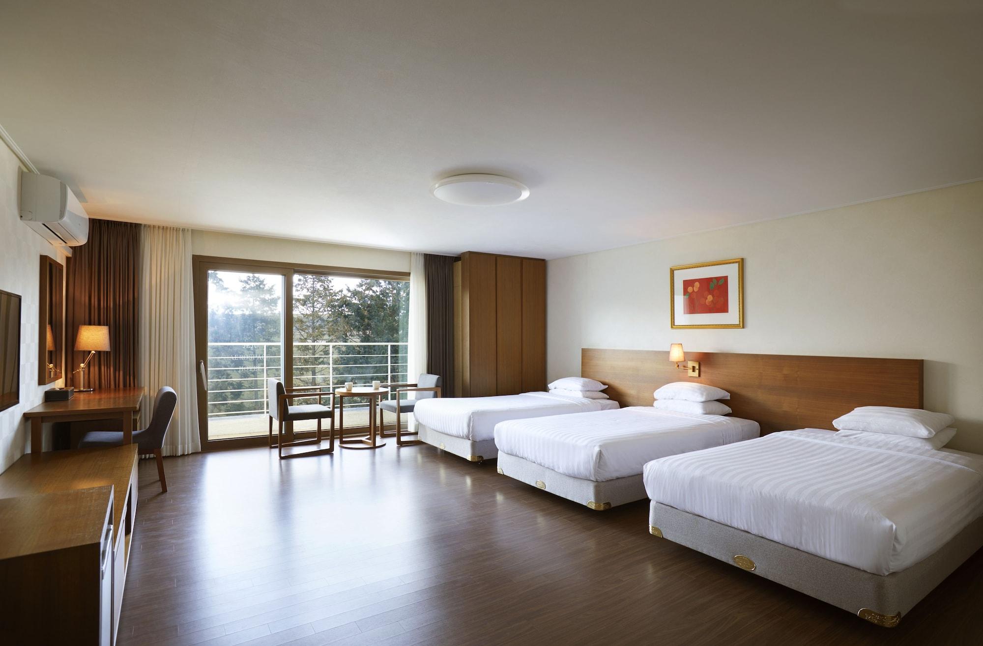 סאוגוויפו Jeju Aerospace Hotel מראה חיצוני תמונה