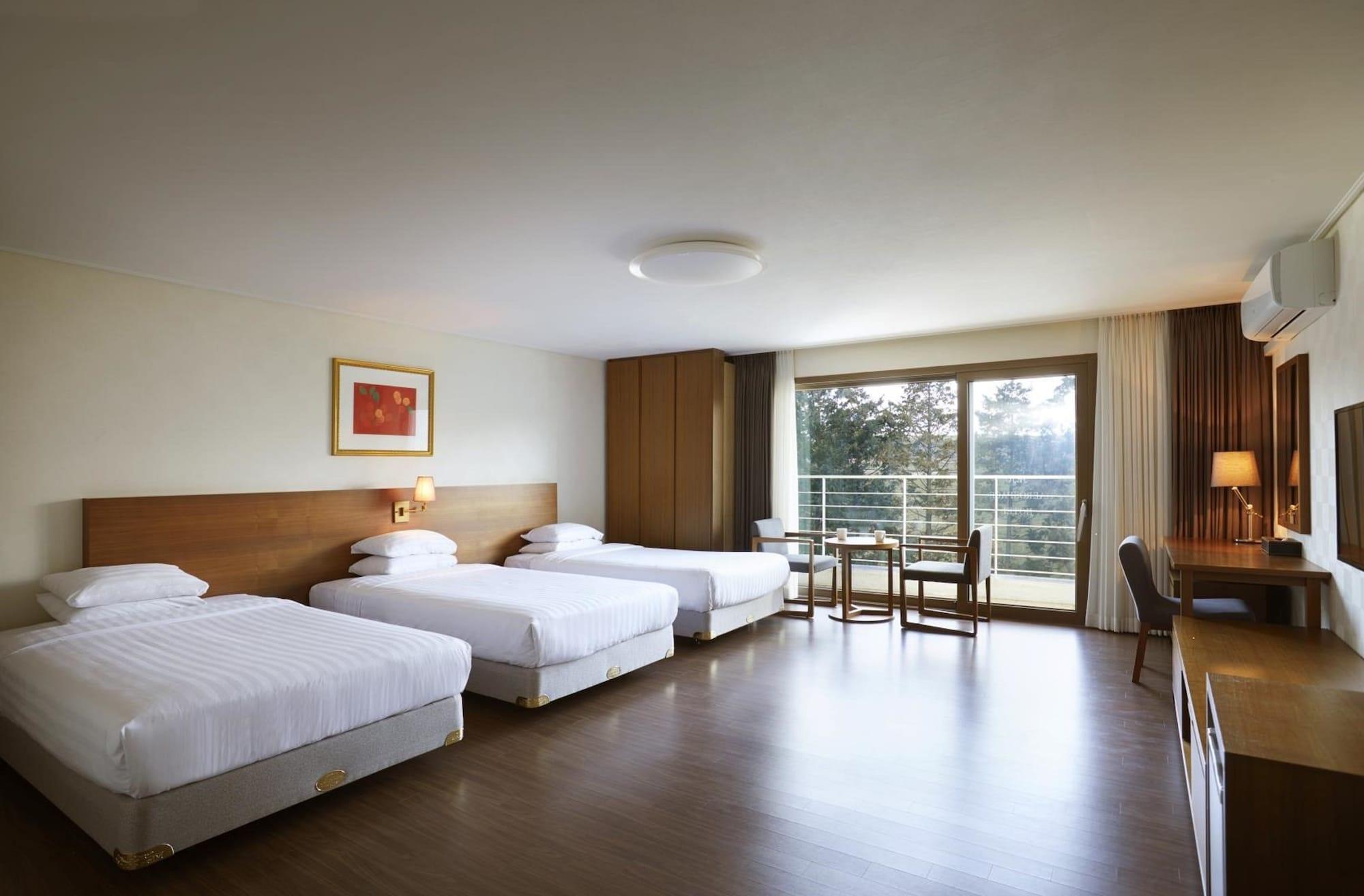 סאוגוויפו Jeju Aerospace Hotel מראה חיצוני תמונה