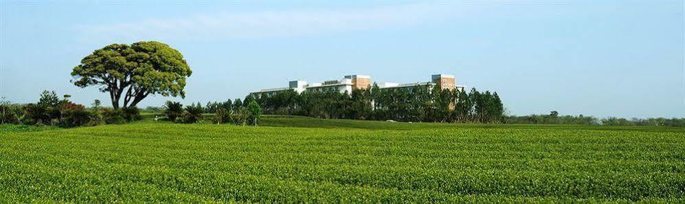 סאוגוויפו Jeju Aerospace Hotel מראה חיצוני תמונה