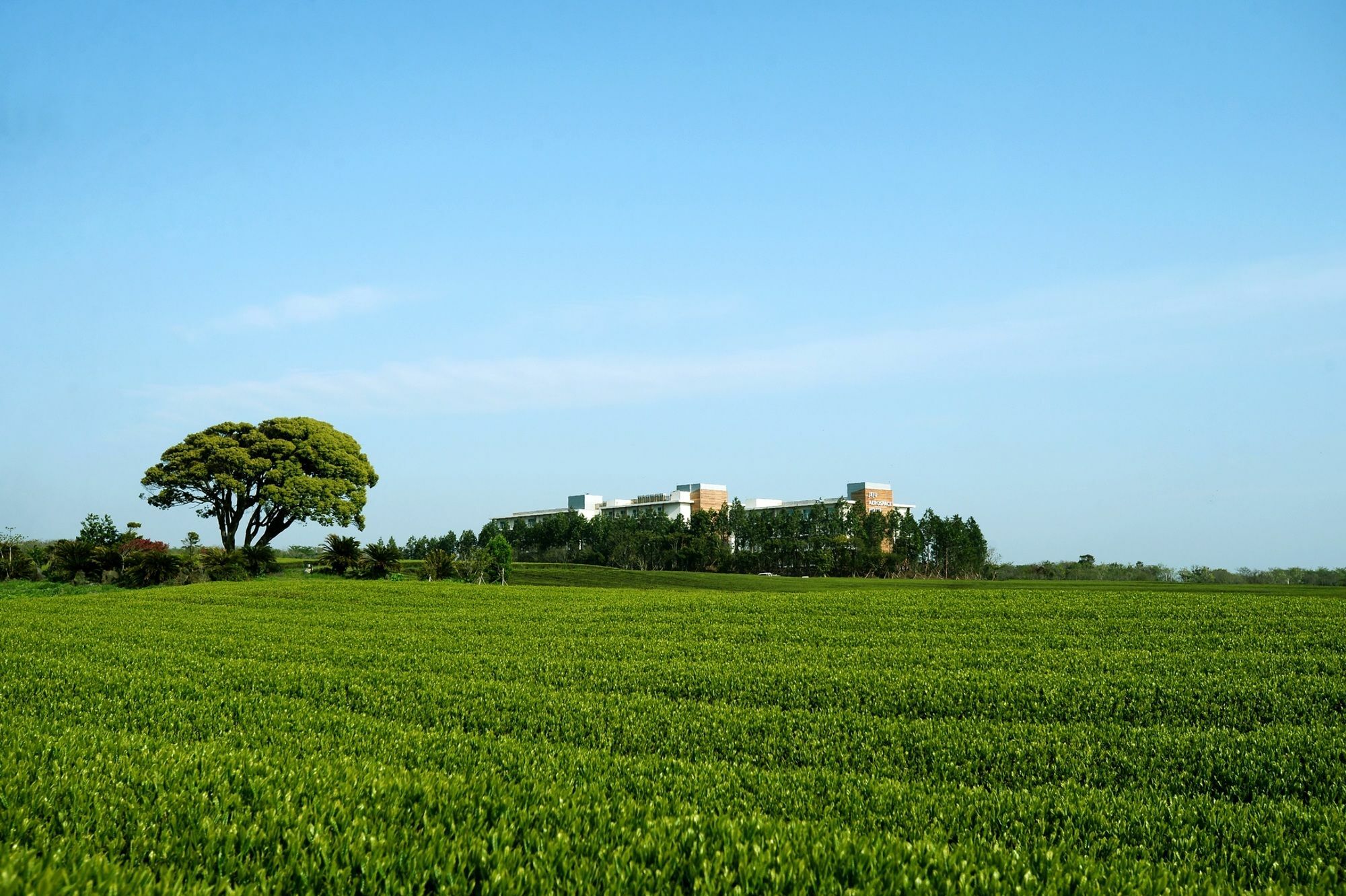 סאוגוויפו Jeju Aerospace Hotel מראה חיצוני תמונה