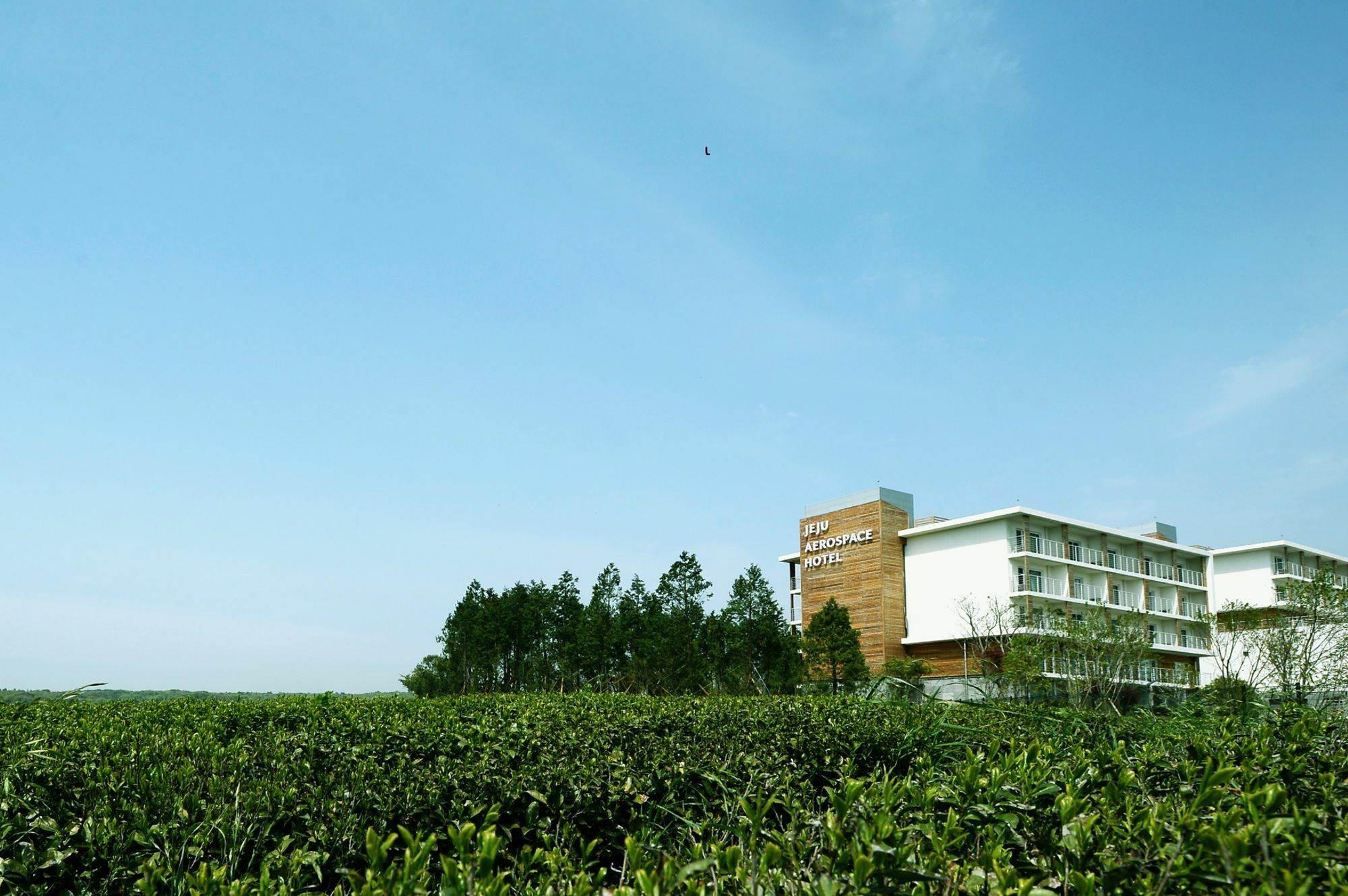 סאוגוויפו Jeju Aerospace Hotel מראה חיצוני תמונה